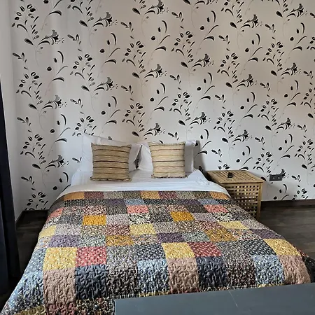 게스트하우스 Casa Raia 브라쇼브