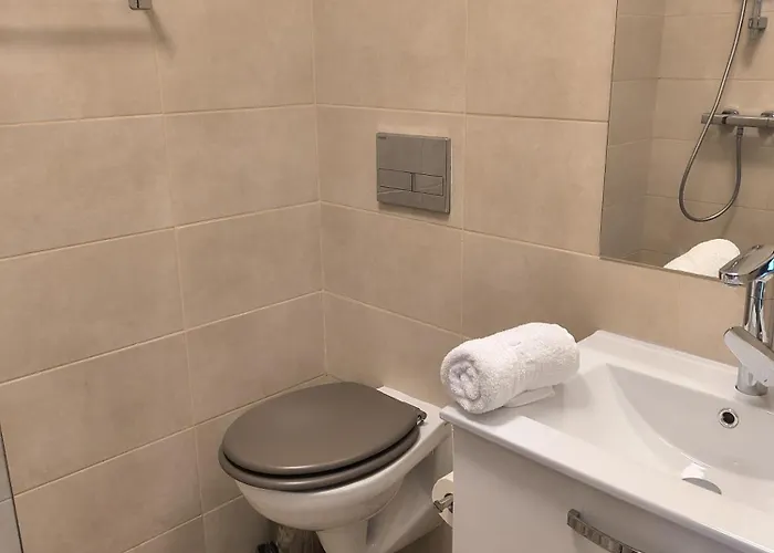 Casa Raia Guest house Brasov