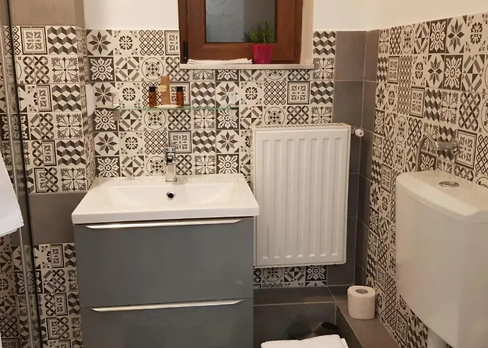 Casa Raia Guest house Brasov